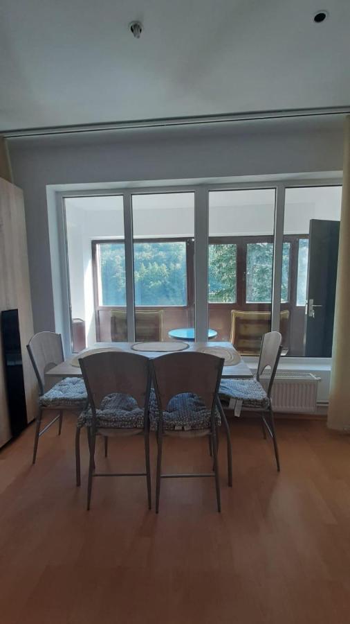Monik Apartament Синая Экстерьер фото