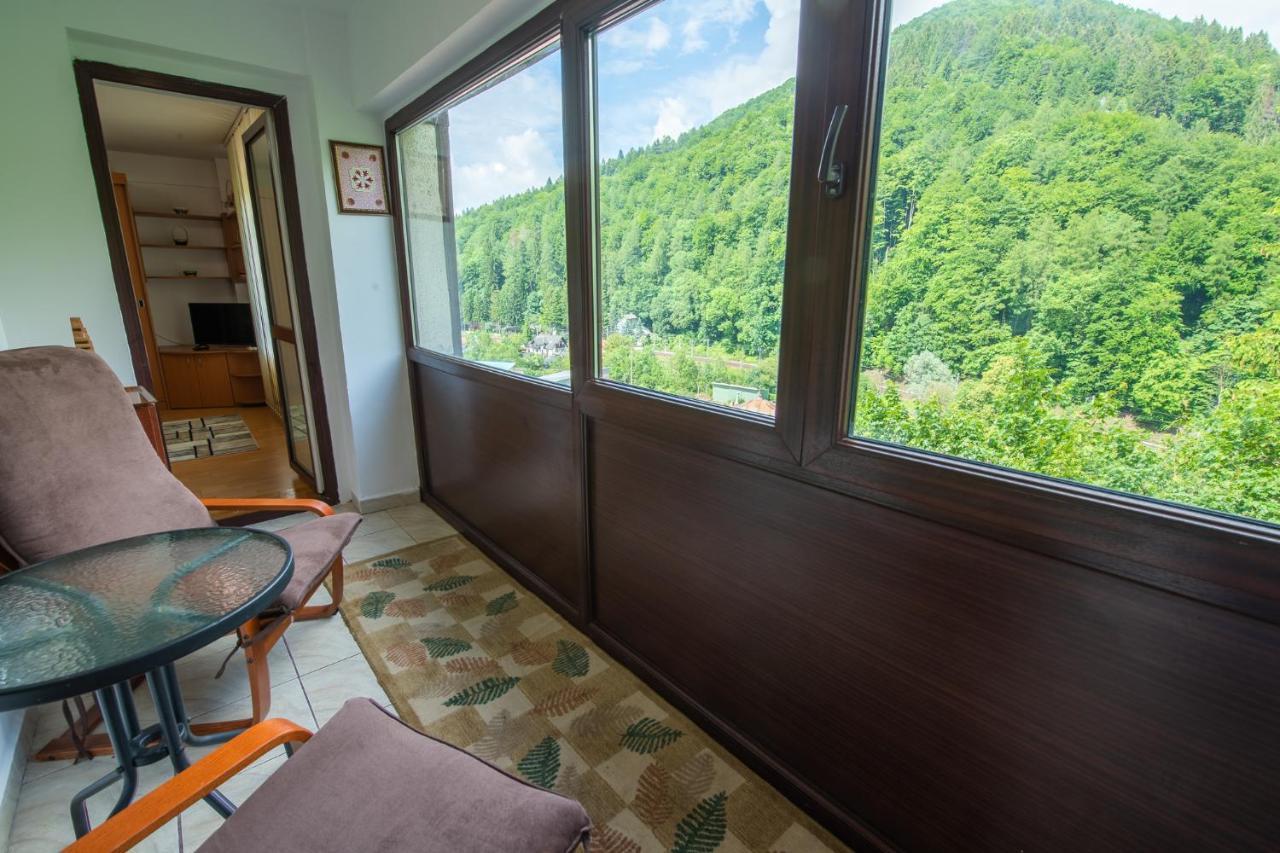 Monik Apartament Синая Экстерьер фото