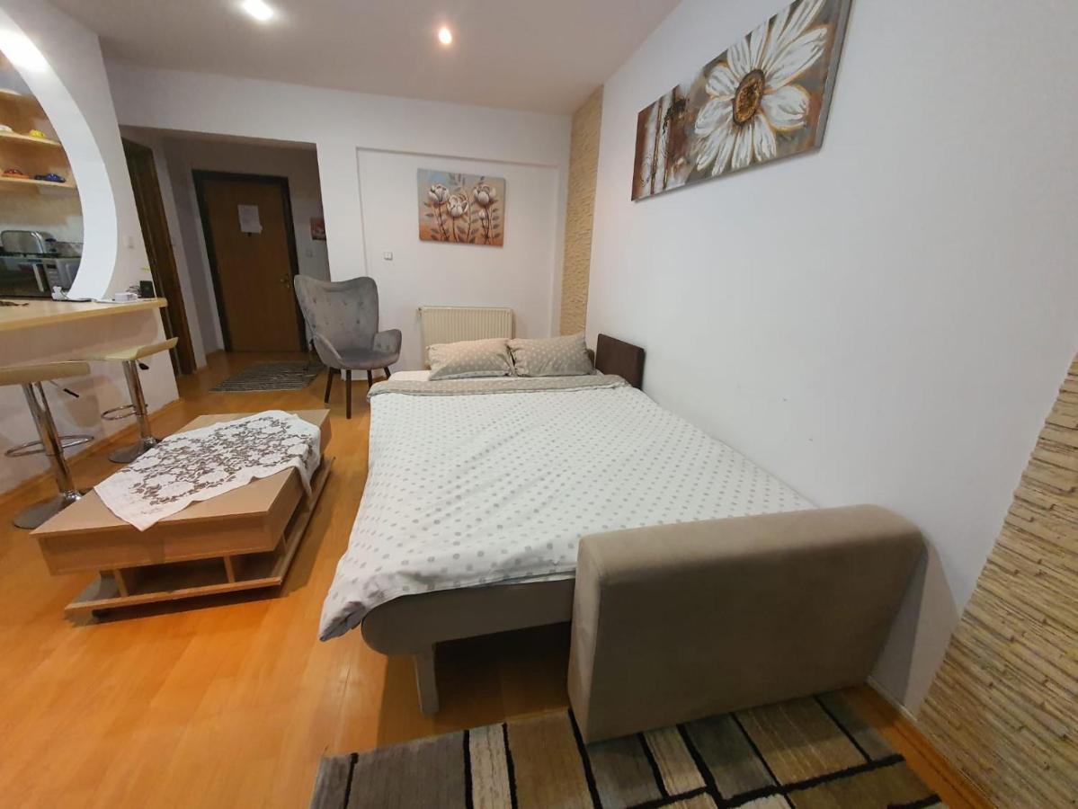 Monik Apartament Синая Экстерьер фото